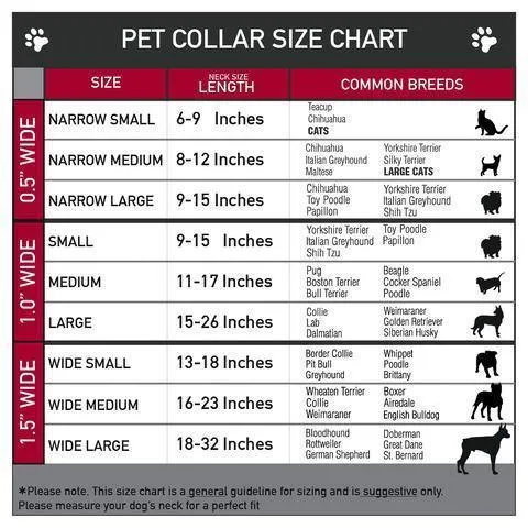 Buckle-Down Frozen Snowflake Poses Purple - Collar/Leash