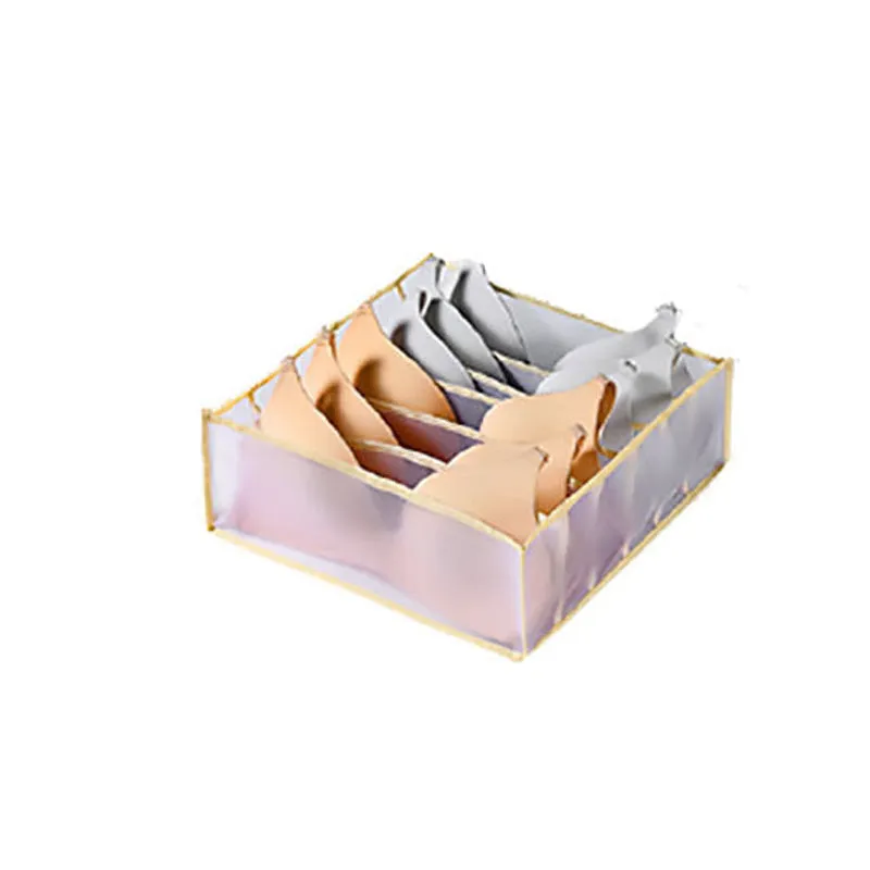 Underwear Storage Box (5pcs)